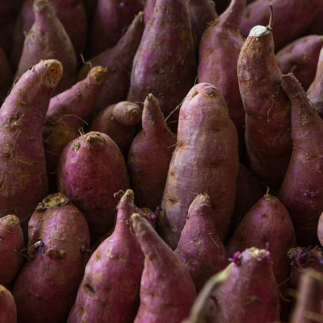 Extracto de batata morada