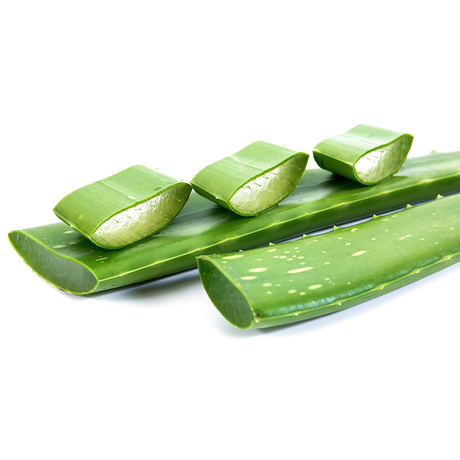 Extracto de aloe vera