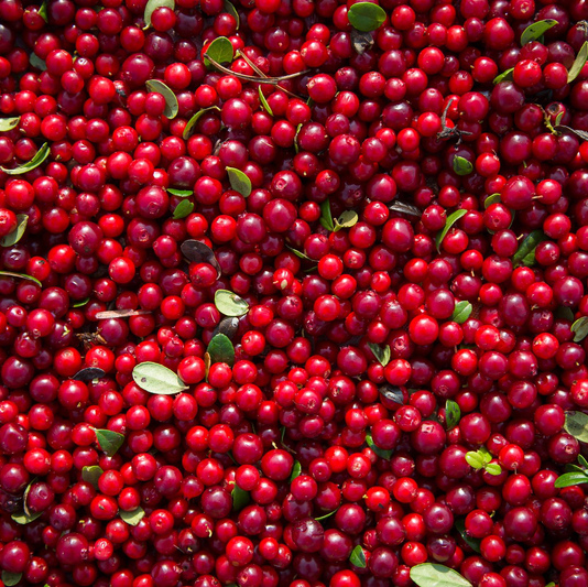 Extracto de arándano rojo
