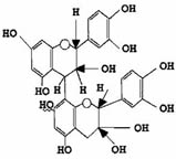 Estructura molecular