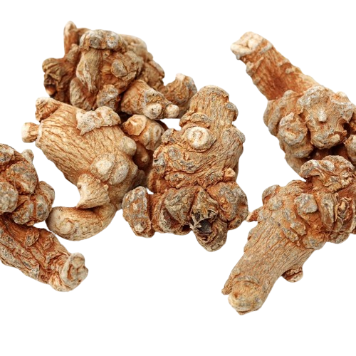 Extracto de raíz de Panax Notoginseng Notoginseng Saponinas totales