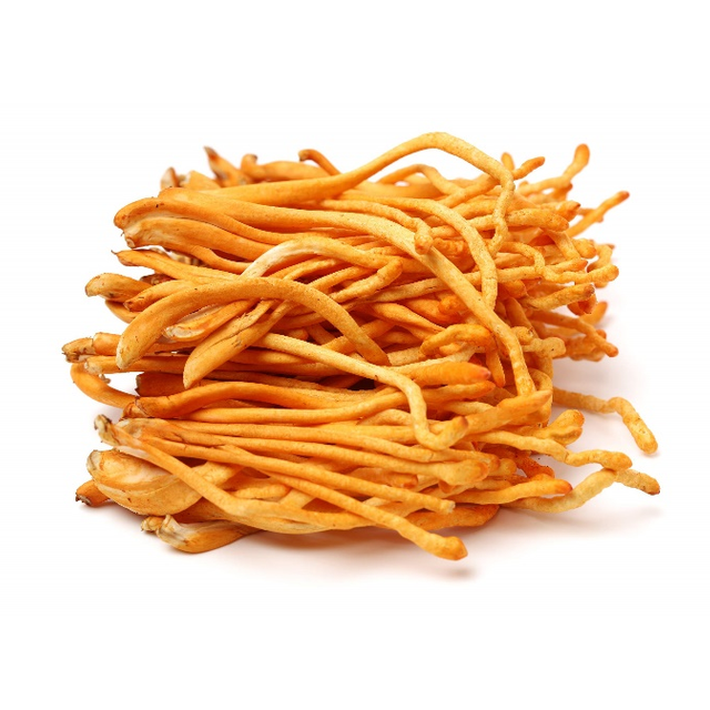 Extracto de polvo de Cordyceps Militaris